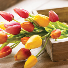 Load image into Gallery viewer, Mixed Tulip Bouquet