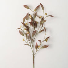 Load image into Gallery viewer, Tall Brown Wild Berry Spray