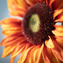 Load image into Gallery viewer, Orange Triple Sunflower Spray