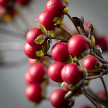 Load image into Gallery viewer, Dark Red Berry Twig Spray