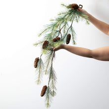 Load image into Gallery viewer, Black Hills Pine Wispy Swag