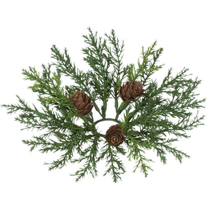 Arborvitae 1.5” Accent Ring