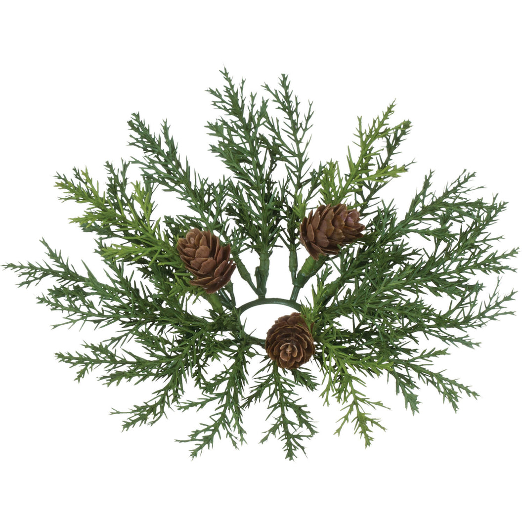 Arborvitae 1.5” Accent Ring