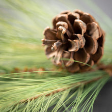 Load image into Gallery viewer, Light Long Pine &amp; Cone Pick
