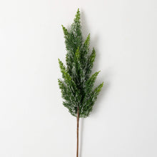 Load image into Gallery viewer, Frosted Green Cedar Spray
