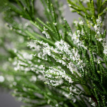 Load image into Gallery viewer, Frosted Green Cedar Spray
