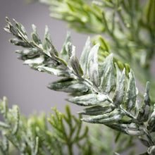 Load image into Gallery viewer, Frosted Cedar &amp; Pinecone Spray
