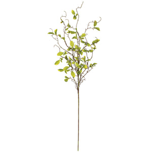 Leaf and Twig Spray