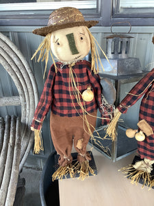 Mr. Scarecrow Fabric Standing Doll