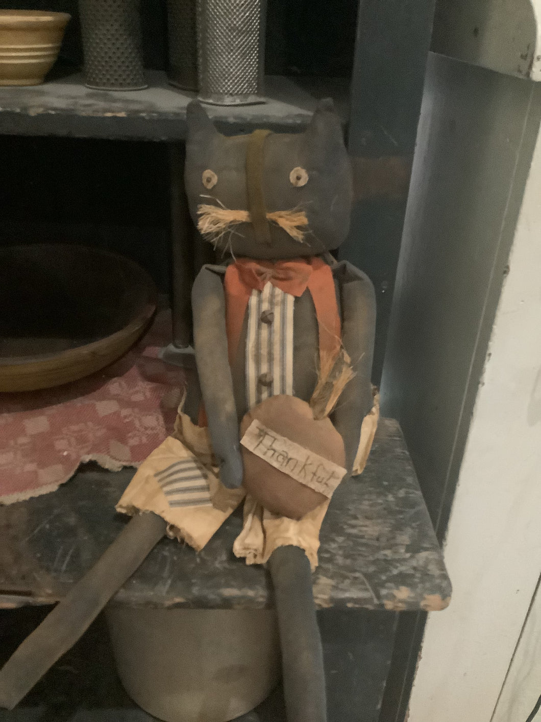 Daniel Prim Cat