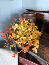 Load image into Gallery viewer, Eucalyptus Rusty Pick
