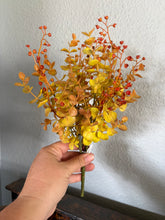 Load image into Gallery viewer, Eucalyptus Rusty Pick
