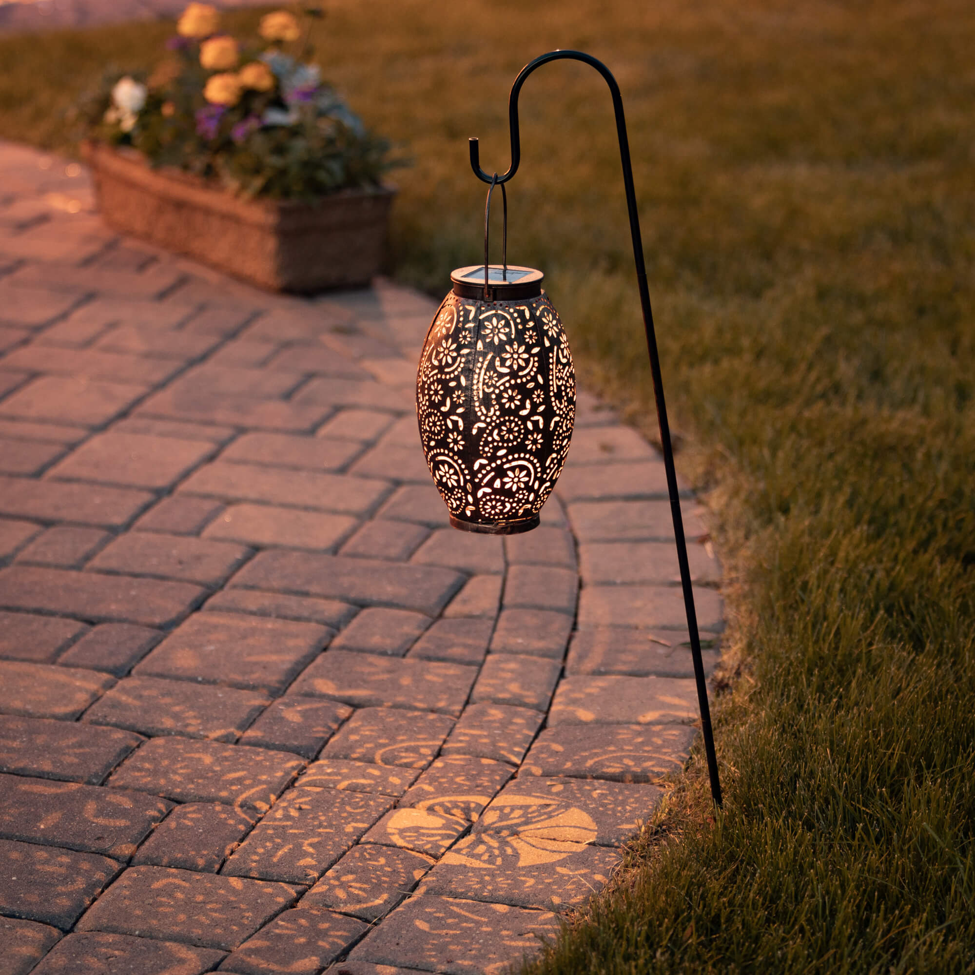 hanging nickel plant Hanging Lantern Solar Light – The Rusty Nickel