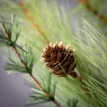 Load image into Gallery viewer, Lush Large Mixed Pine Spray
