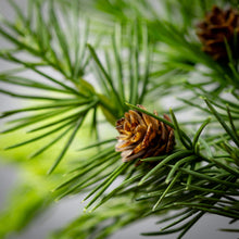 Load image into Gallery viewer, Lush Green Cedar Spray
