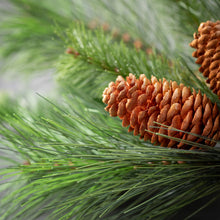 Load image into Gallery viewer, Pine Swag with Pinecones
