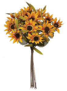 Sunflower Bush