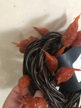Load image into Gallery viewer, Bittersweet Silicone Dipped Teeny Light Strand

