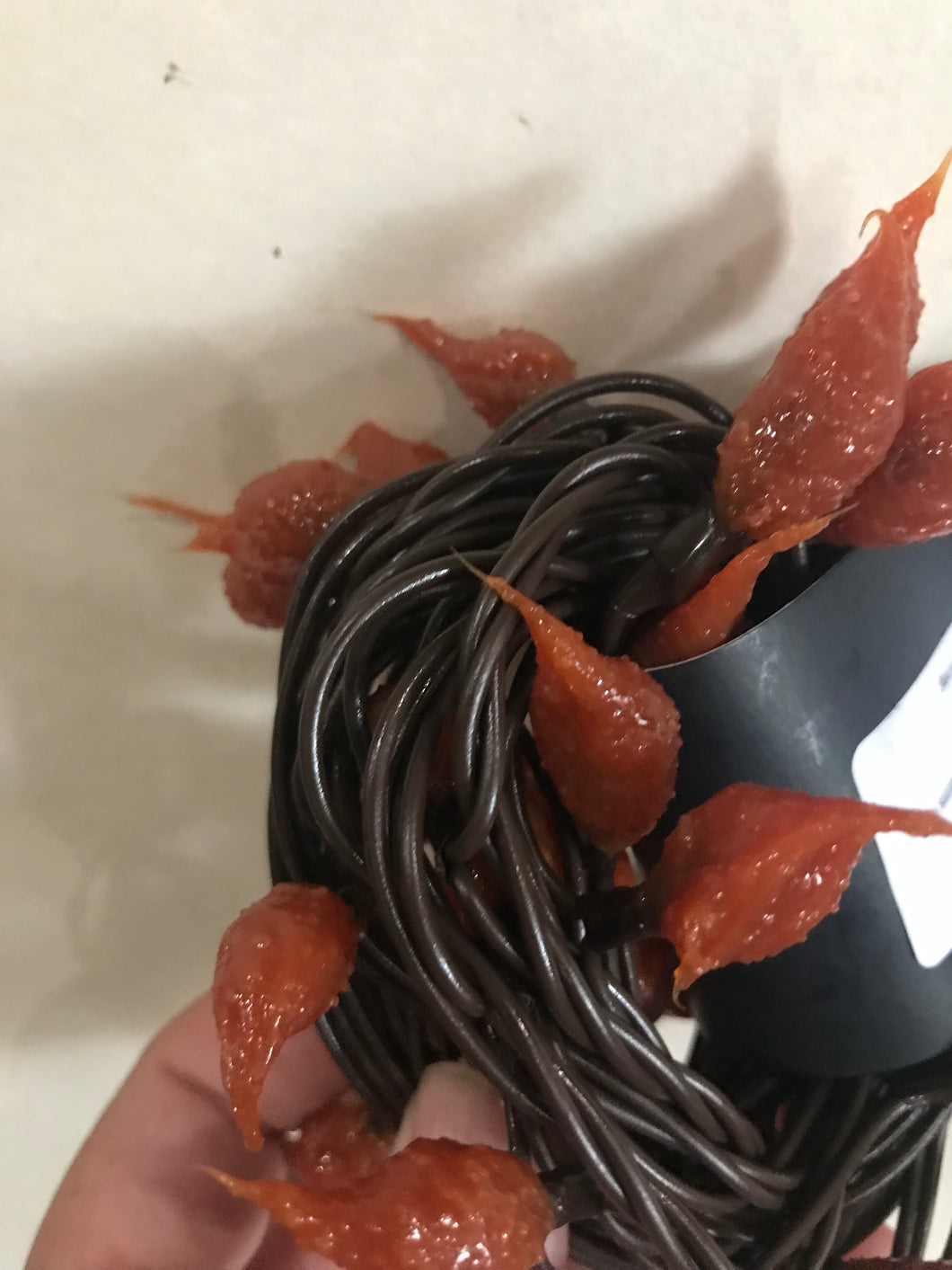 Bittersweet Silicone Dipped Teeny Light Strand
