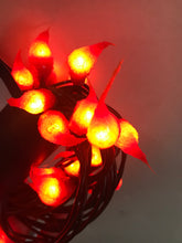 Load image into Gallery viewer, Bittersweet Silicone Dipped Teeny Light Strand
